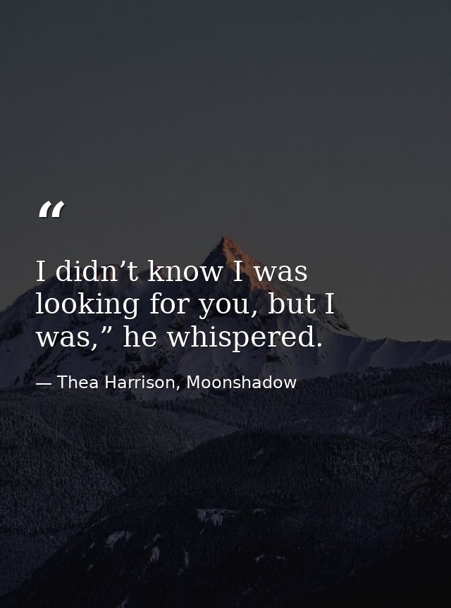 I didn’t know I was looking for you, but I was,” he whispered. — Thea Harrison, Moonshadow
