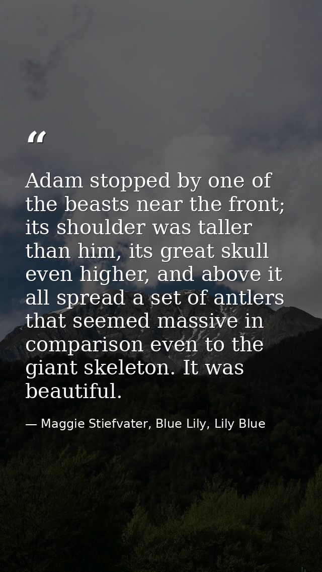 Adam stopped by one of the beasts near the front; its shoulder was taller than him, its great skull even higher, and abo — Maggie Stiefvater, Blue Lily, Lily Blue