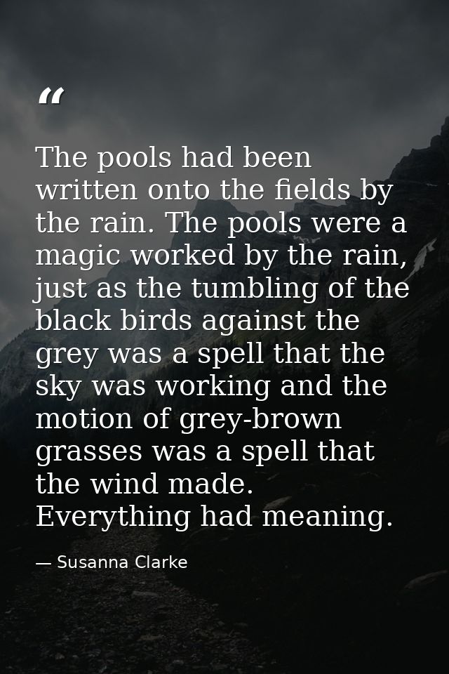 The pools had been written onto the fields by the rain. The pools were a magic worked by the rain, just as the tumbling  — Susanna Clarke