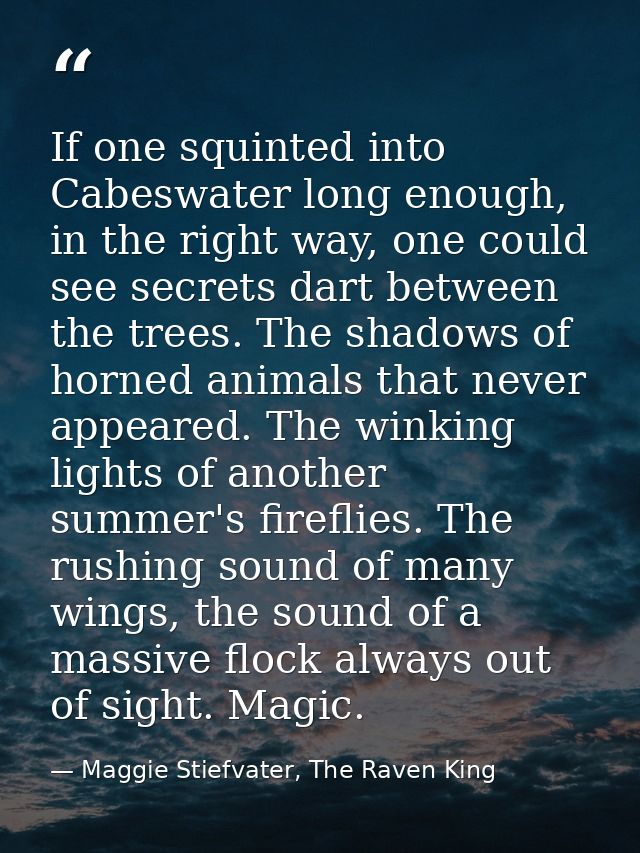 If one squinted into Cabeswater long enough, in the right way, one could see secrets dart between the trees. The shadows — Maggie Stiefvater, The Raven King