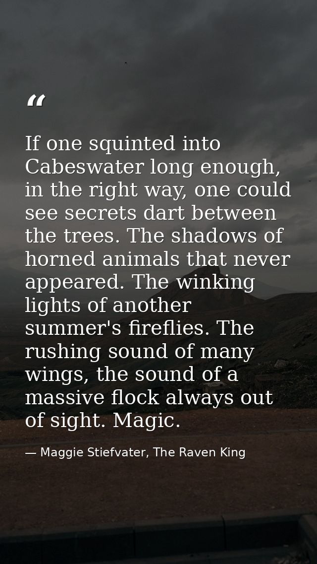If one squinted into Cabeswater long enough, in the right way, one could see secrets dart between the trees. The shadows — Maggie Stiefvater, The Raven King