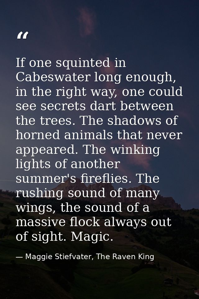 If one squinted in Cabeswater long enough, in the right way, one could see secrets dart between the trees. The shadows o — Maggie Stiefvater, The Raven King