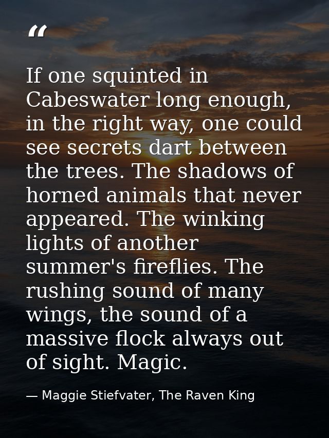 If one squinted in Cabeswater long enough, in the right way, one could see secrets dart between the trees. The shadows o — Maggie Stiefvater, The Raven King
