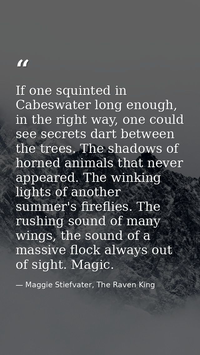 If one squinted in Cabeswater long enough, in the right way, one could see secrets dart between the trees. The shadows o — Maggie Stiefvater, The Raven King