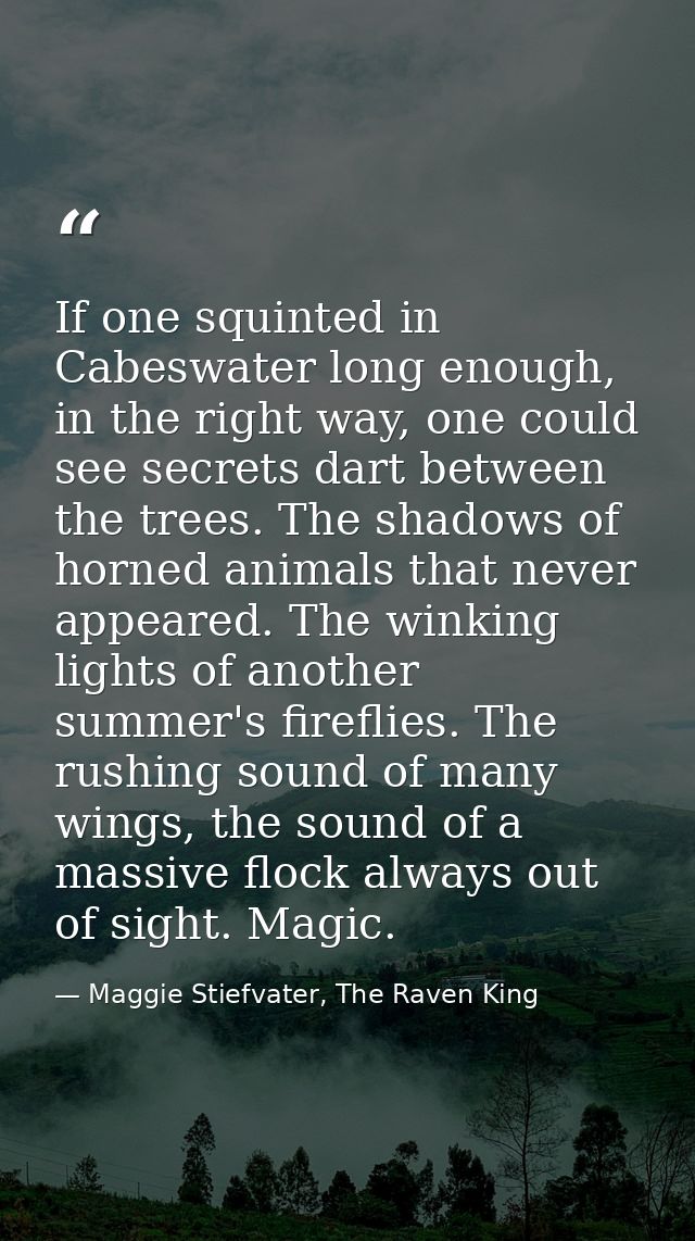 If one squinted in Cabeswater long enough, in the right way, one could see secrets dart between the trees. The shadows o — Maggie Stiefvater, The Raven King