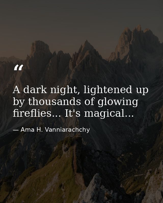A dark night, lightened up by thousands of glowing fireflies... It's magical... — Ama H. Vanniarachchy