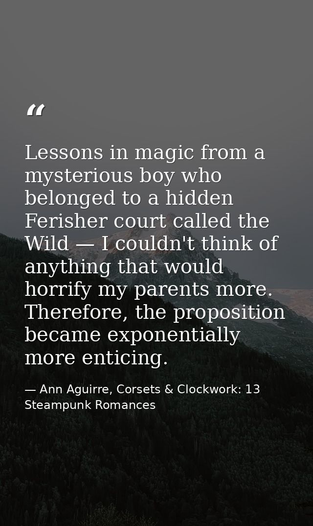 Lessons in magic from a mysterious boy who belonged to a hidden Ferisher court called the Wild — I couldn't think of any — Ann Aguirre, Corsets & Clockwork: 13 Steampunk Romances