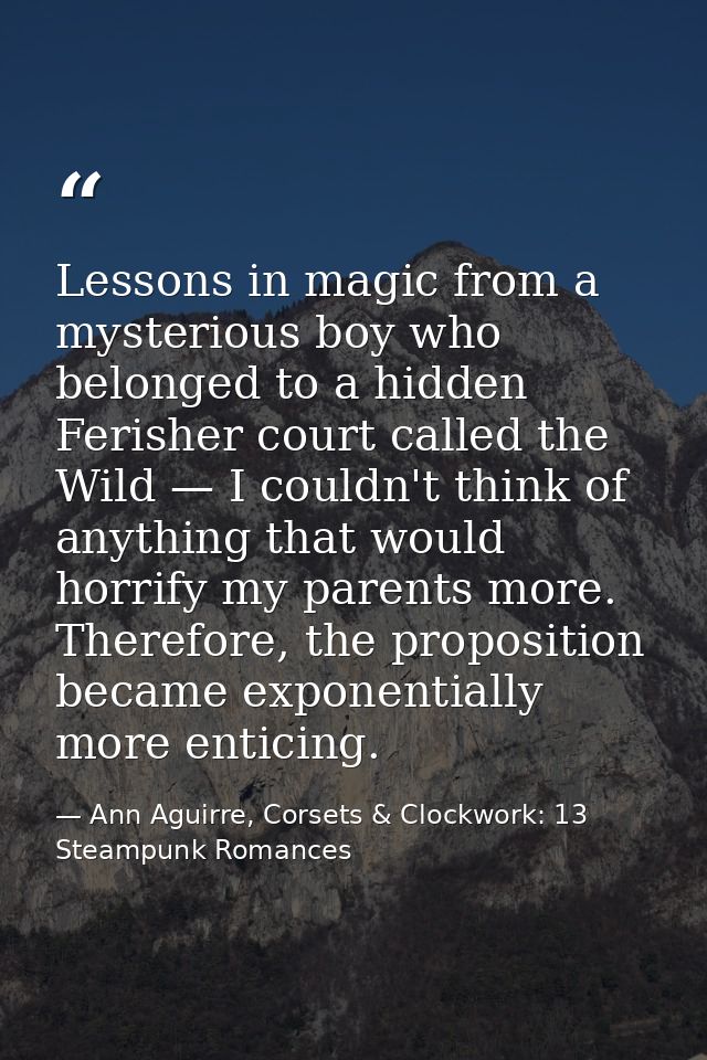 Lessons in magic from a mysterious boy who belonged to a hidden Ferisher court called the Wild — I couldn't think of any — Ann Aguirre, Corsets & Clockwork: 13 Steampunk Romances