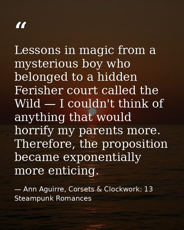 Lessons in magic from a mysterious boy who belonged to a hidden Ferisher court called the Wild — I couldn't think of any — Ann Aguirre, Corsets & Clockwork: 13 Steampunk Romances