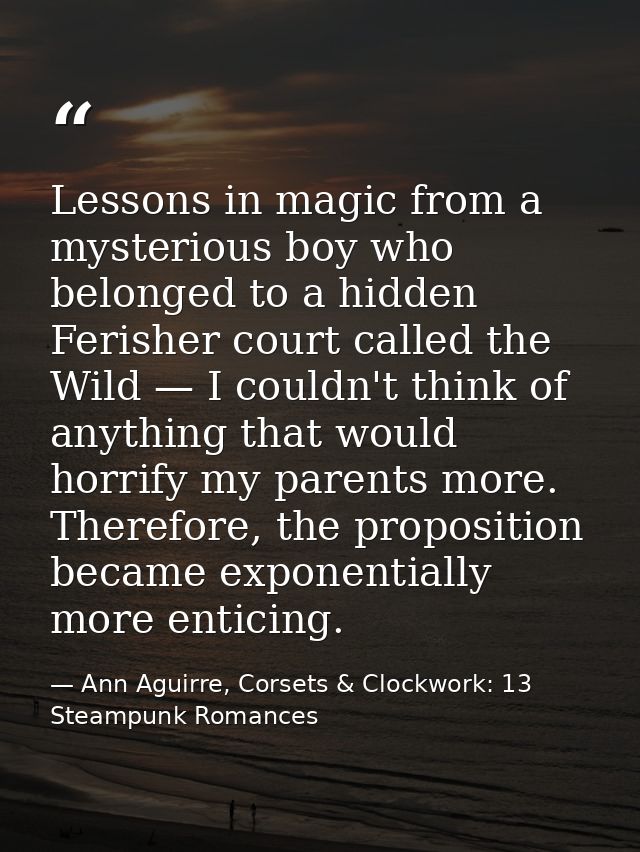 Lessons in magic from a mysterious boy who belonged to a hidden Ferisher court called the Wild — I couldn't think of any — Ann Aguirre, Corsets & Clockwork: 13 Steampunk Romances