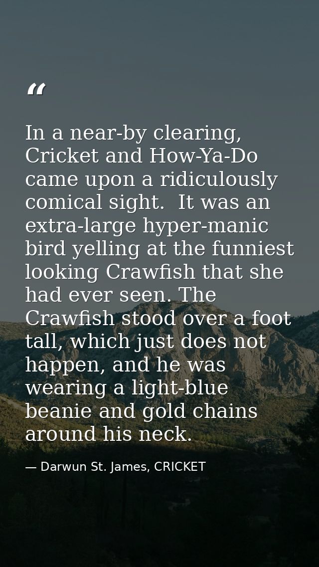 In a near-by clearing, Cricket and How-Ya-Do came upon a ridiculously comical sight.  It was an extra-large hyper-manic  — Darwun St. James, CRICKET