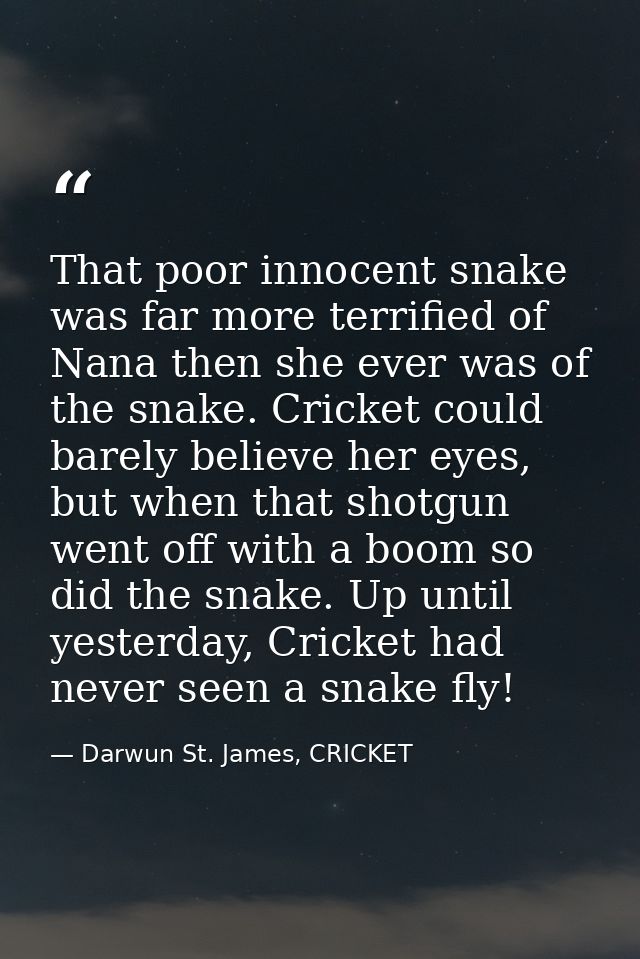 That poor innocent snake was far more terrified of Nana then she ever was of the snake. Cricket could barely believe her — Darwun St. James, CRICKET