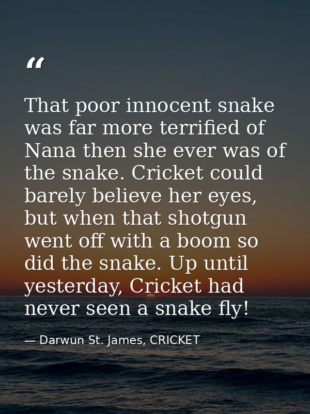 That poor innocent snake was far more terrified of Nana then she ever was of the snake. Cricket could barely believe her — Darwun St. James, CRICKET