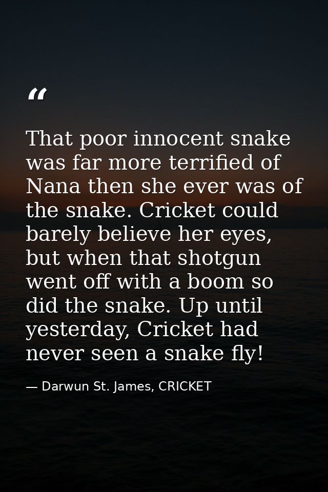 That poor innocent snake was far more terrified of Nana then she ever was of the snake. Cricket could barely believe her — Darwun St. James, CRICKET