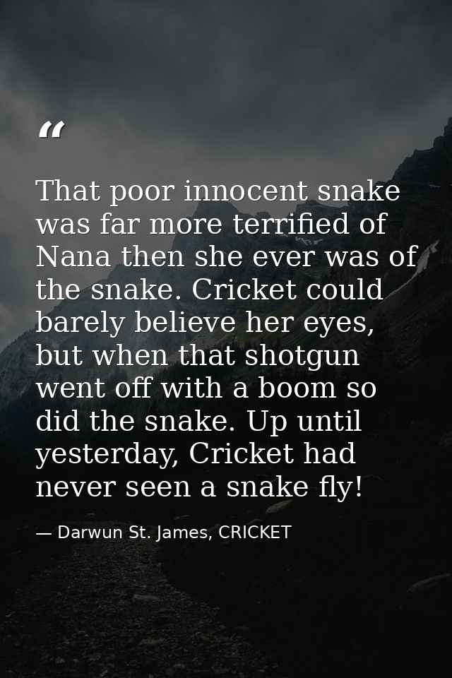That poor innocent snake was far more terrified of Nana then she ever was of the snake. Cricket could barely believe her — Darwun St. James, CRICKET