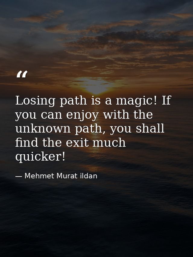 Losing path is a magic! If you can enjoy with the unknown path, you shall find the exit much quicker! — Mehmet Murat ildan