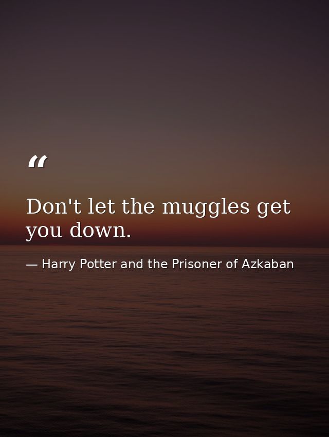 Don't let the muggles get you down. — Harry Potter and the Prisoner of Azkaban