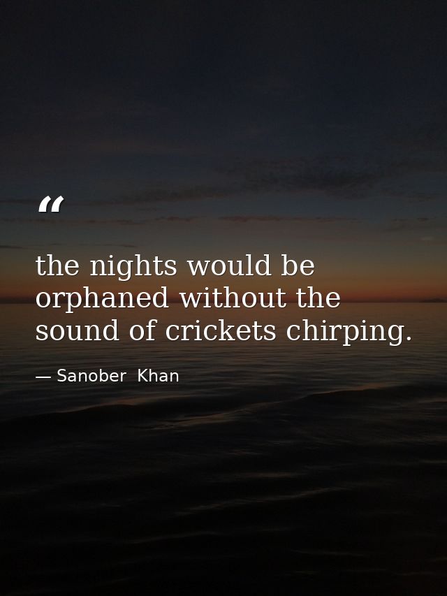 the nights would be orphaned without the sound of crickets chirping. — Sanober  Khan