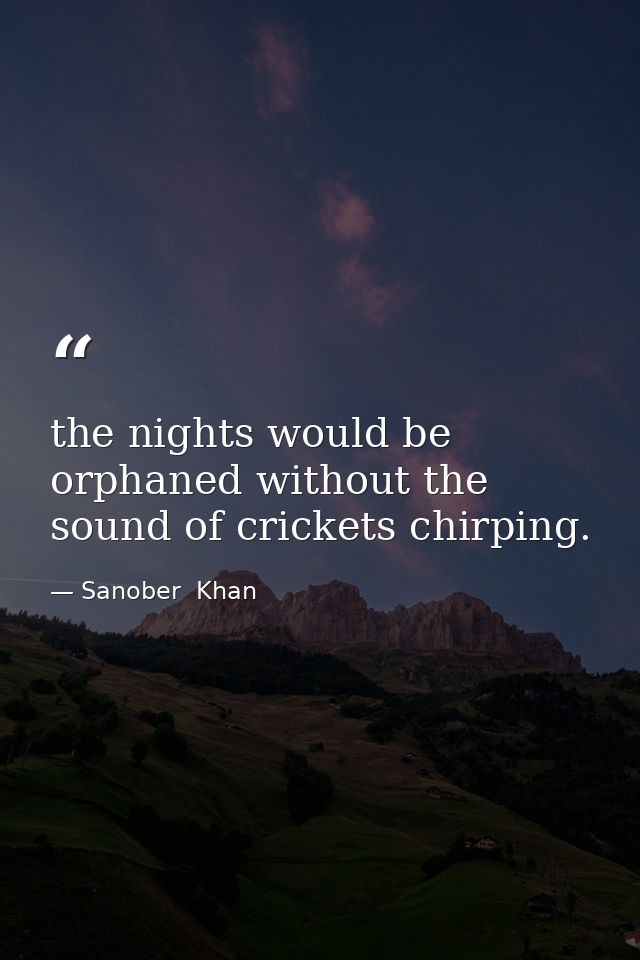 the nights would be orphaned without the sound of crickets chirping. — Sanober  Khan