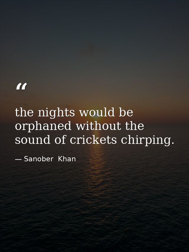 the nights would be orphaned without the sound of crickets chirping. — Sanober  Khan