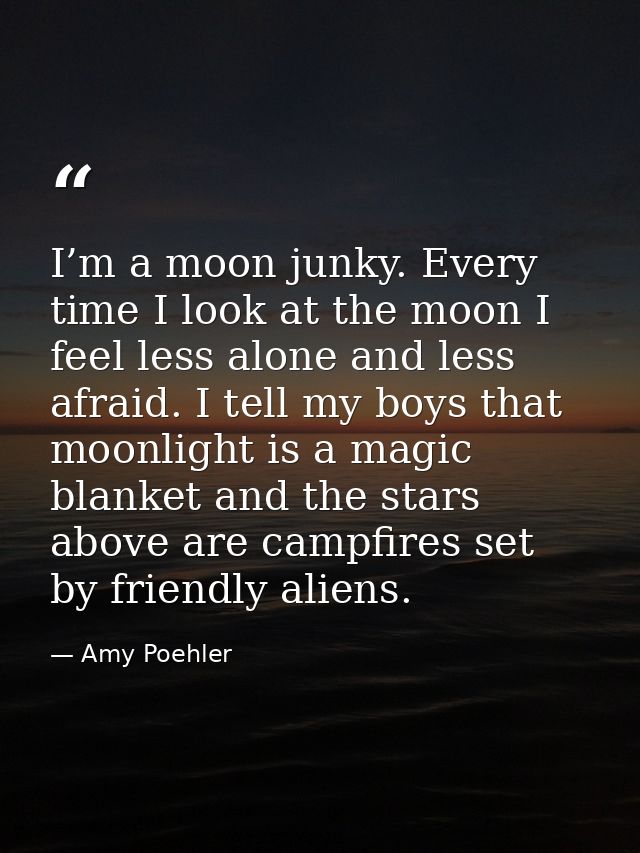 I’m a moon junky. Every time I look at the moon I feel less alone and less afraid. I tell my boys that moonlight is a ma — Amy Poehler