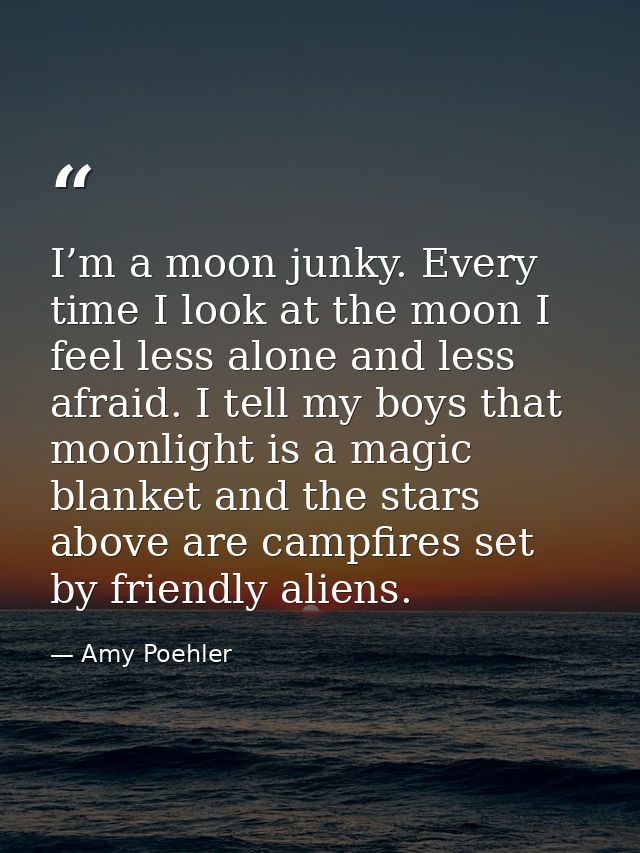 I’m a moon junky. Every time I look at the moon I feel less alone and less afraid. I tell my boys that moonlight is a ma — Amy Poehler