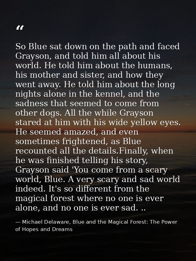 So Blue sat down on the path and faced Grayson, and told him all about his world. He told him about the humans, his moth — Michael Delaware, Blue and the Magical Forest: The Power of Hopes and Dreams