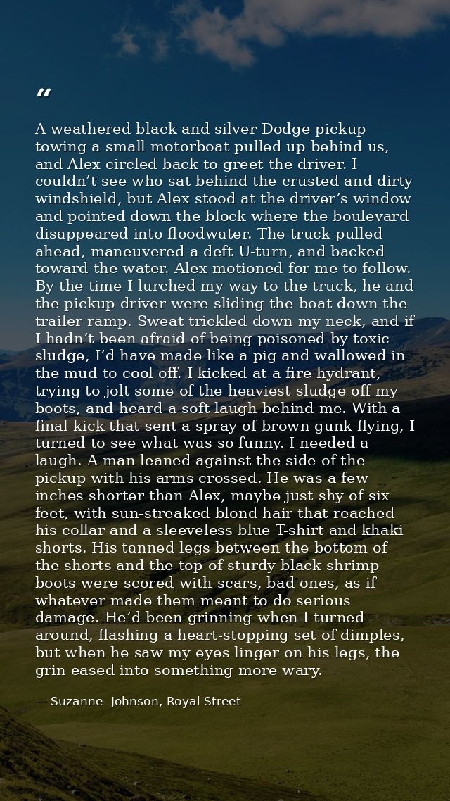 A weathered black and silver Dodge pickup towing a small motorboat pulled up behind us, and Alex circled back to greet t — Suzanne  Johnson, Royal Street
