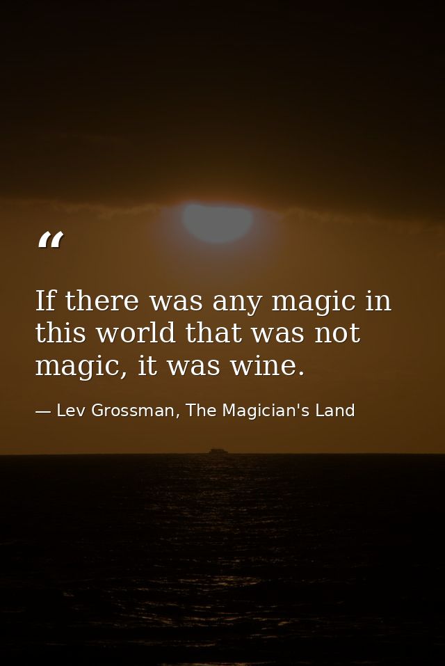 If there was any magic in this world that was not magic, it was wine. — Lev Grossman, The Magician's Land