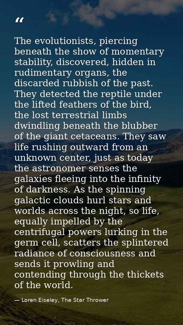 The evolutionists, piercing beneath the show of momentary stability, discovered, hidden in rudimentary organs, the disca — Loren Eiseley, The Star Thrower