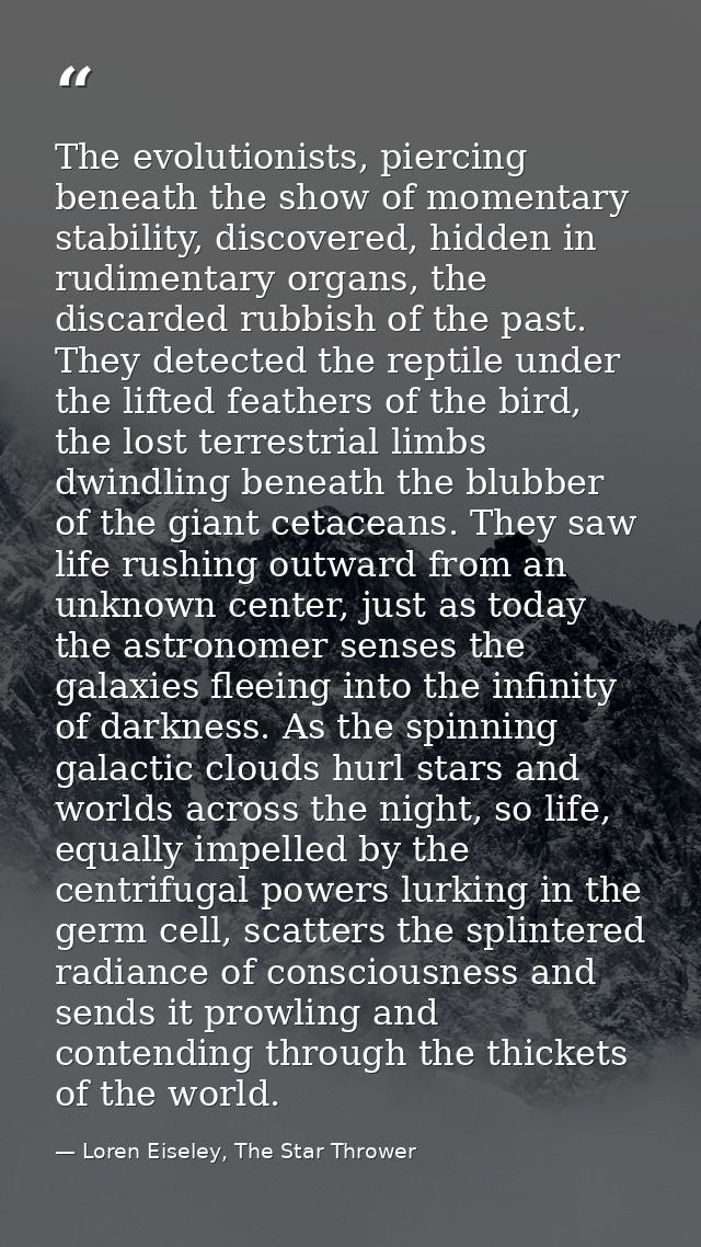 The evolutionists, piercing beneath the show of momentary stability, discovered, hidden in rudimentary organs, the disca — Loren Eiseley, The Star Thrower