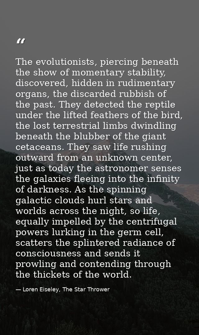 The evolutionists, piercing beneath the show of momentary stability, discovered, hidden in rudimentary organs, the disca — Loren Eiseley, The Star Thrower
