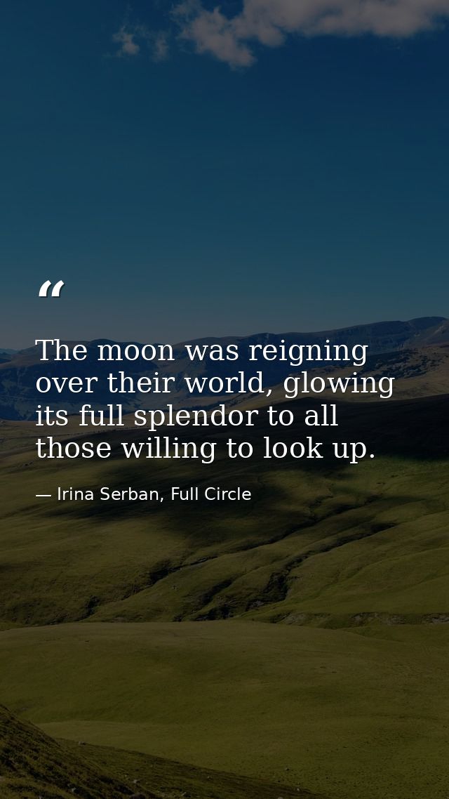 The moon was reigning over their world, glowing its full splendor to all those willing to look up. — Irina Serban, Full Circle