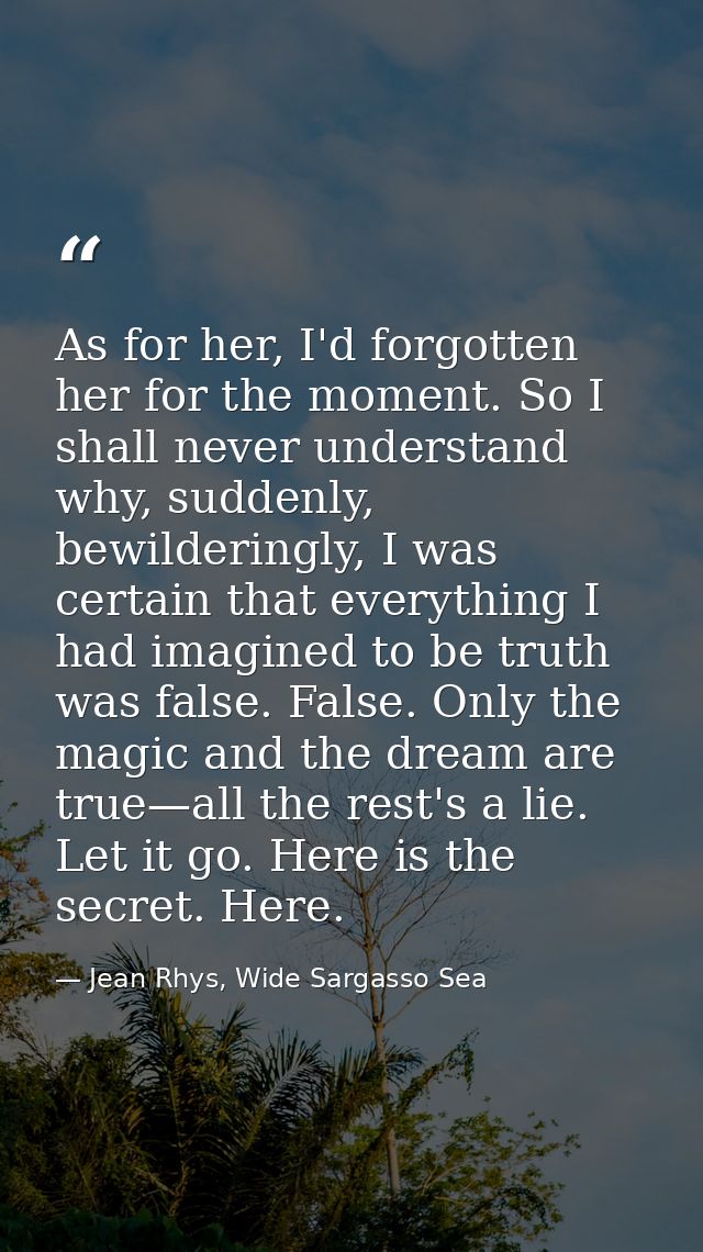 As for her, I'd forgotten her for the moment. So I shall never understand why, suddenly, bewilderingly, I was certain th — Jean Rhys, Wide Sargasso Sea