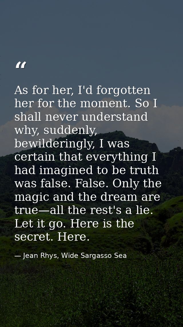 As for her, I'd forgotten her for the moment. So I shall never understand why, suddenly, bewilderingly, I was certain th — Jean Rhys, Wide Sargasso Sea