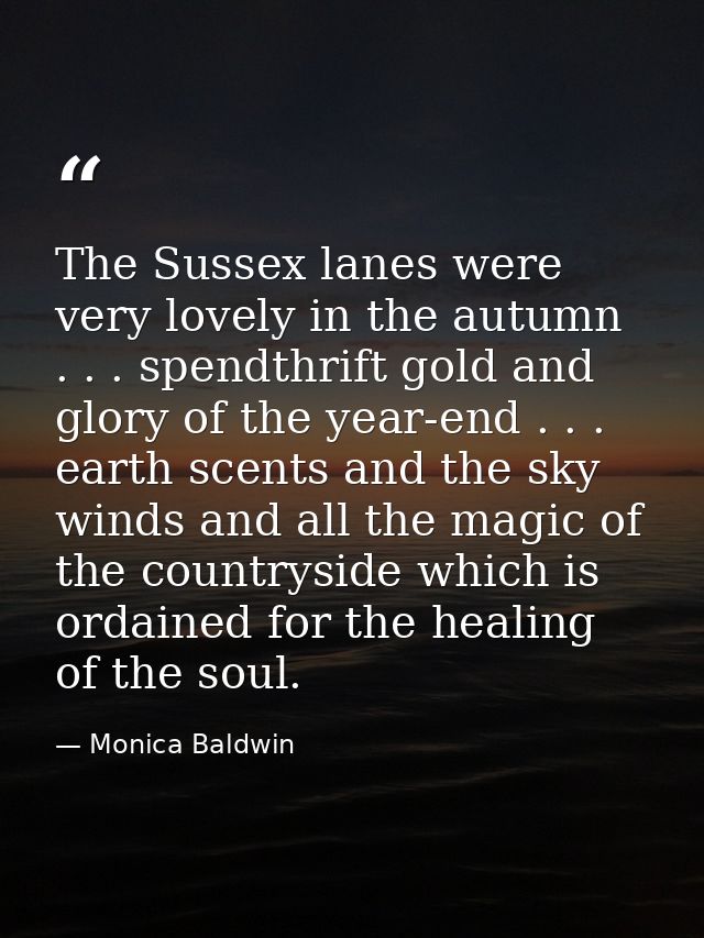 The Sussex lanes were very lovely in the autumn . . . spendthrift gold and glory of the year-end . . . earth scents and  — Monica Baldwin