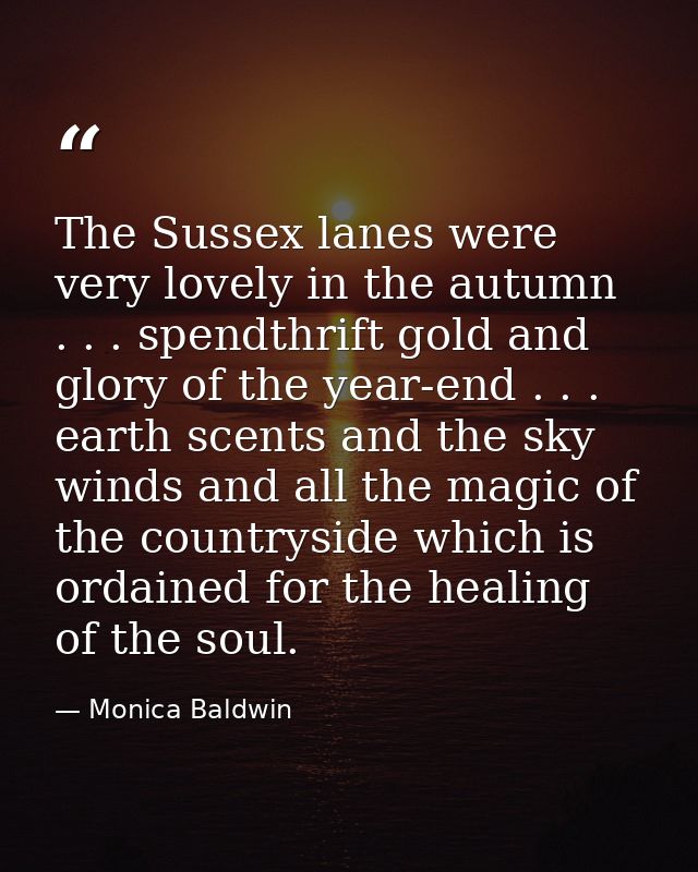 The Sussex lanes were very lovely in the autumn . . . spendthrift gold and glory of the year-end . . . earth scents and  — Monica Baldwin