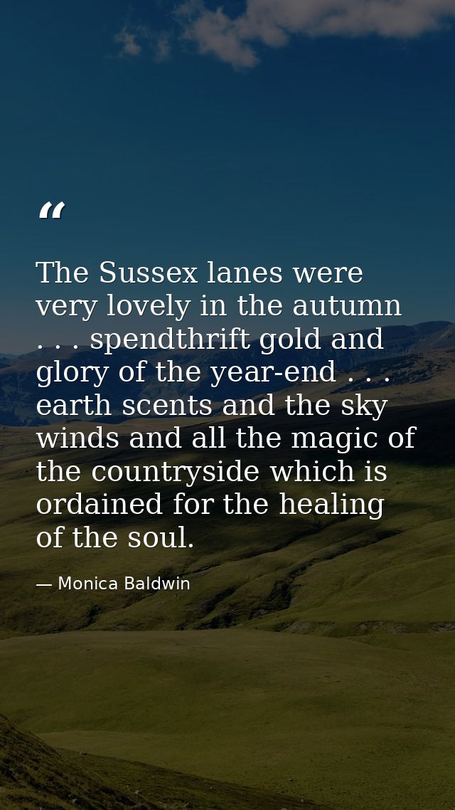 The Sussex lanes were very lovely in the autumn . . . spendthrift gold and glory of the year-end . . . earth scents and  — Monica Baldwin