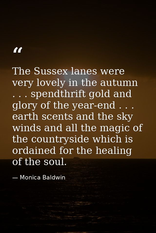 The Sussex lanes were very lovely in the autumn . . . spendthrift gold and glory of the year-end . . . earth scents and  — Monica Baldwin
