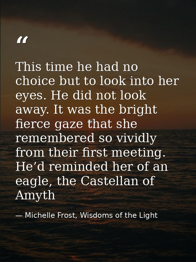 This time he had no choice but to look into her eyes. He did not look away. It was the bright fierce gaze that she remem — Michelle Frost, Wisdoms of the Light