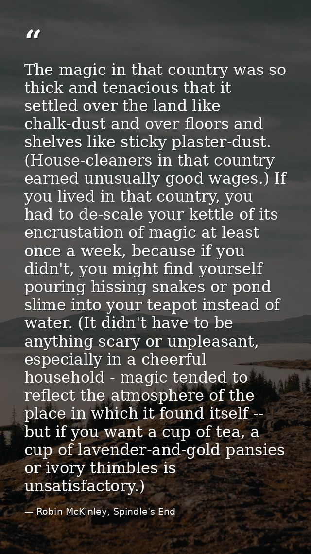 The magic in that country was so thick and tenacious that it settled over the land like chalk-dust and over floors and s — Robin McKinley, Spindle's End