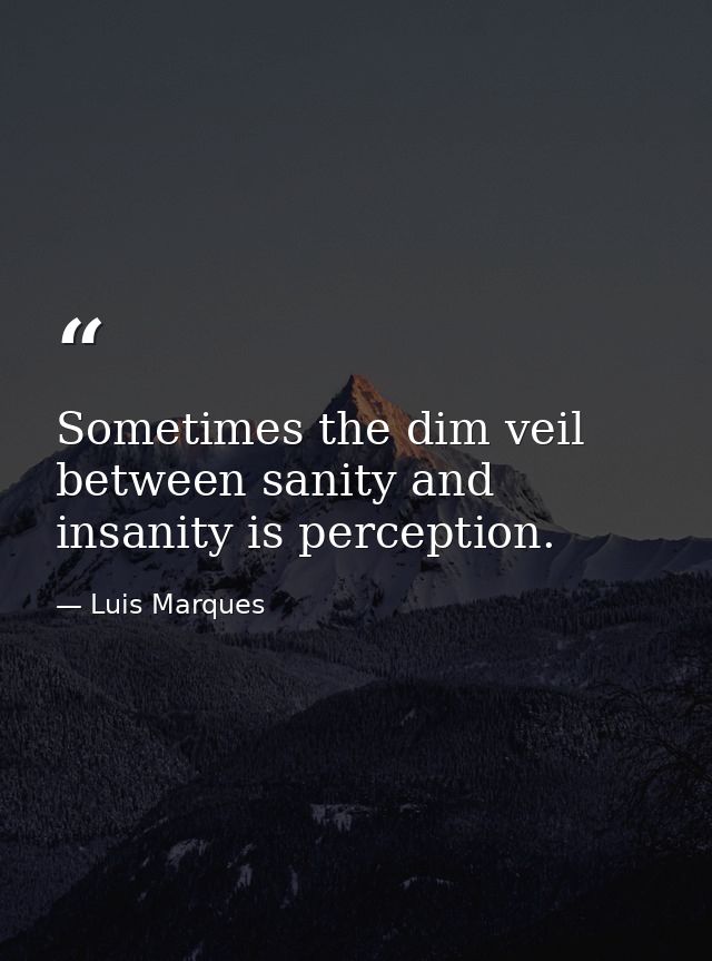 Sometimes the dim veil between sanity and insanity is perception. — Luis Marques