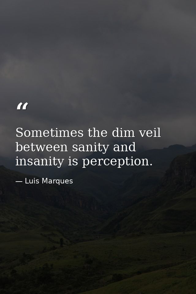 Sometimes the dim veil between sanity and insanity is perception. — Luis Marques