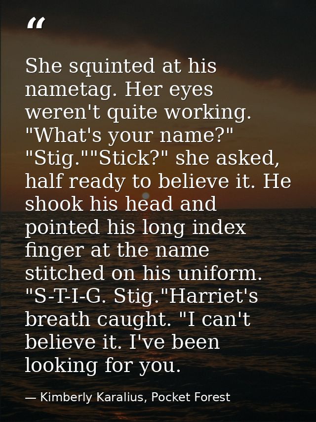 She squinted at his nametag. Her eyes weren't quite working. "What's your name?" "Stig.""Stick?" she asked, half ready t — Kimberly Karalius, Pocket Forest