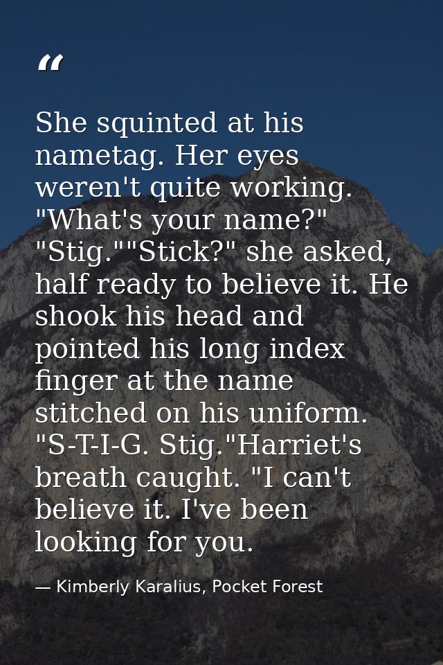 She squinted at his nametag. Her eyes weren't quite working. "What's your name?" "Stig.""Stick?" she asked, half ready t — Kimberly Karalius, Pocket Forest