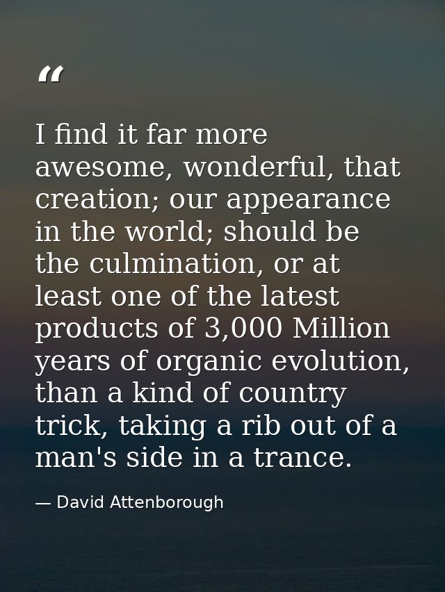 I find it far more awesome, wonderful, that creation; our appearance in the world; should be the culmination, or at leas — David Attenborough