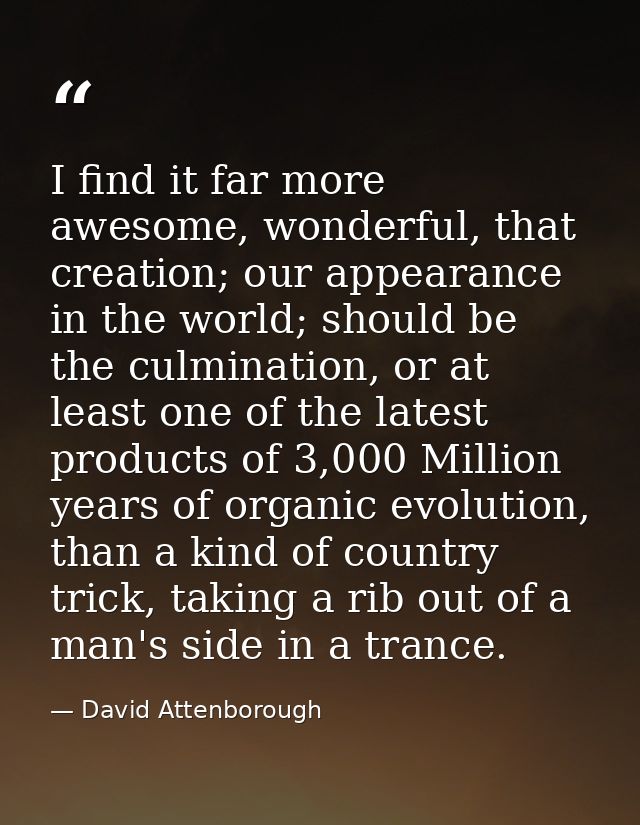 I find it far more awesome, wonderful, that creation; our appearance in the world; should be the culmination, or at leas — David Attenborough