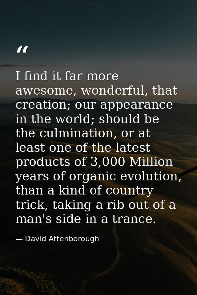 I find it far more awesome, wonderful, that creation; our appearance in the world; should be the culmination, or at leas — David Attenborough