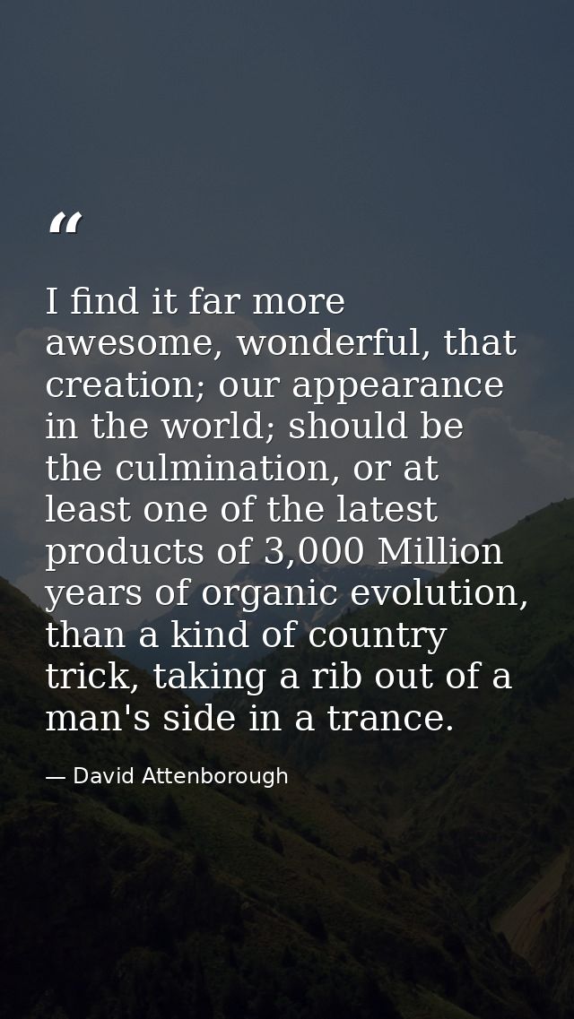 I find it far more awesome, wonderful, that creation; our appearance in the world; should be the culmination, or at leas — David Attenborough