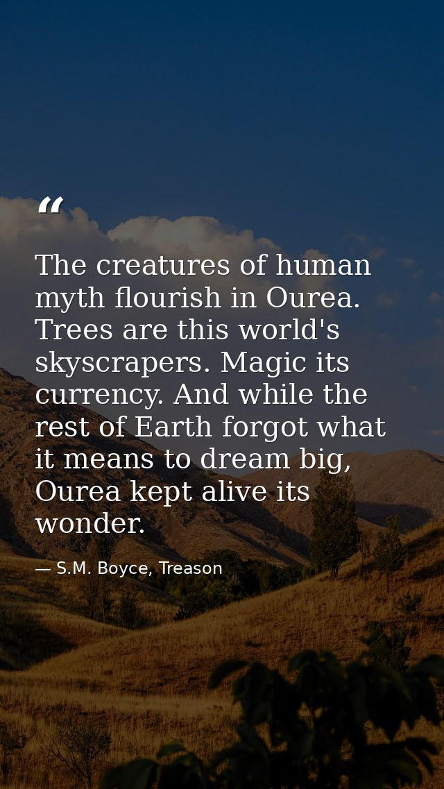 The creatures of human myth flourish in Ourea. Trees are this world's skyscrapers. Magic its currency. And while the res — S.M. Boyce, Treason